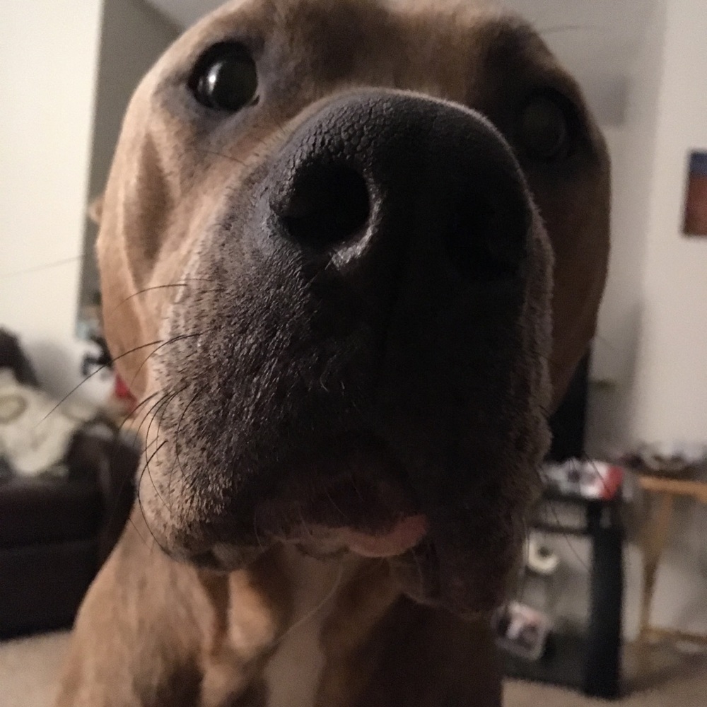 Meet Your Posher, Jessie J.